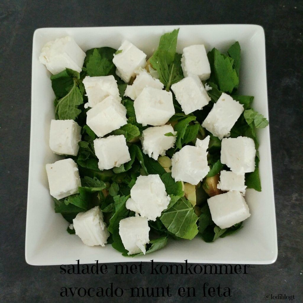 Healthy Lunches with Lots of Vegetables and Cheese